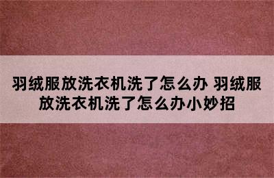 羽绒服放洗衣机洗了怎么办 羽绒服放洗衣机洗了怎么办小妙招